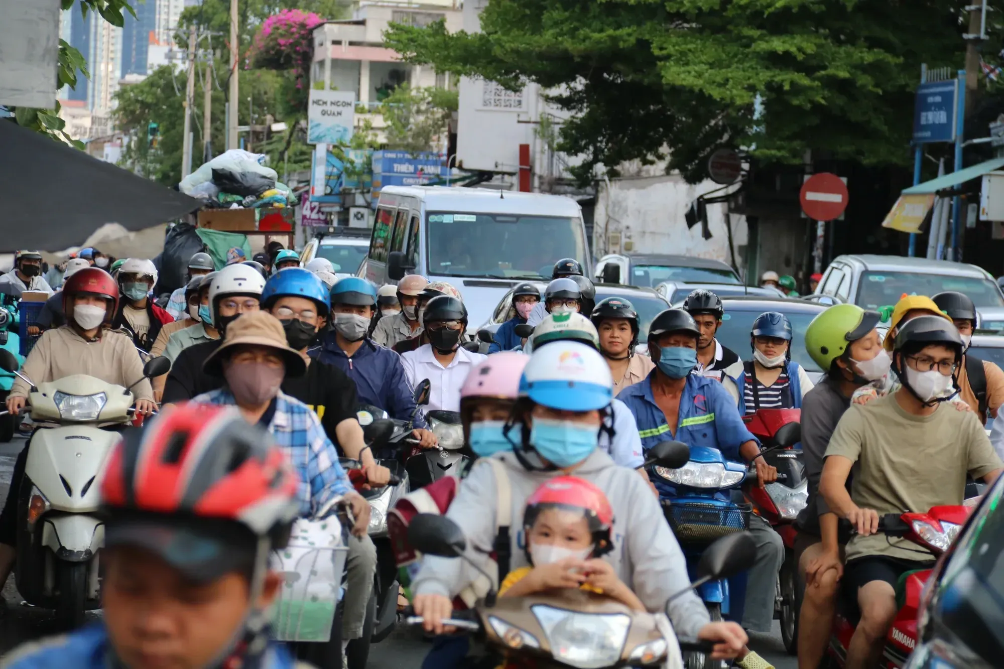 xanh4.webp