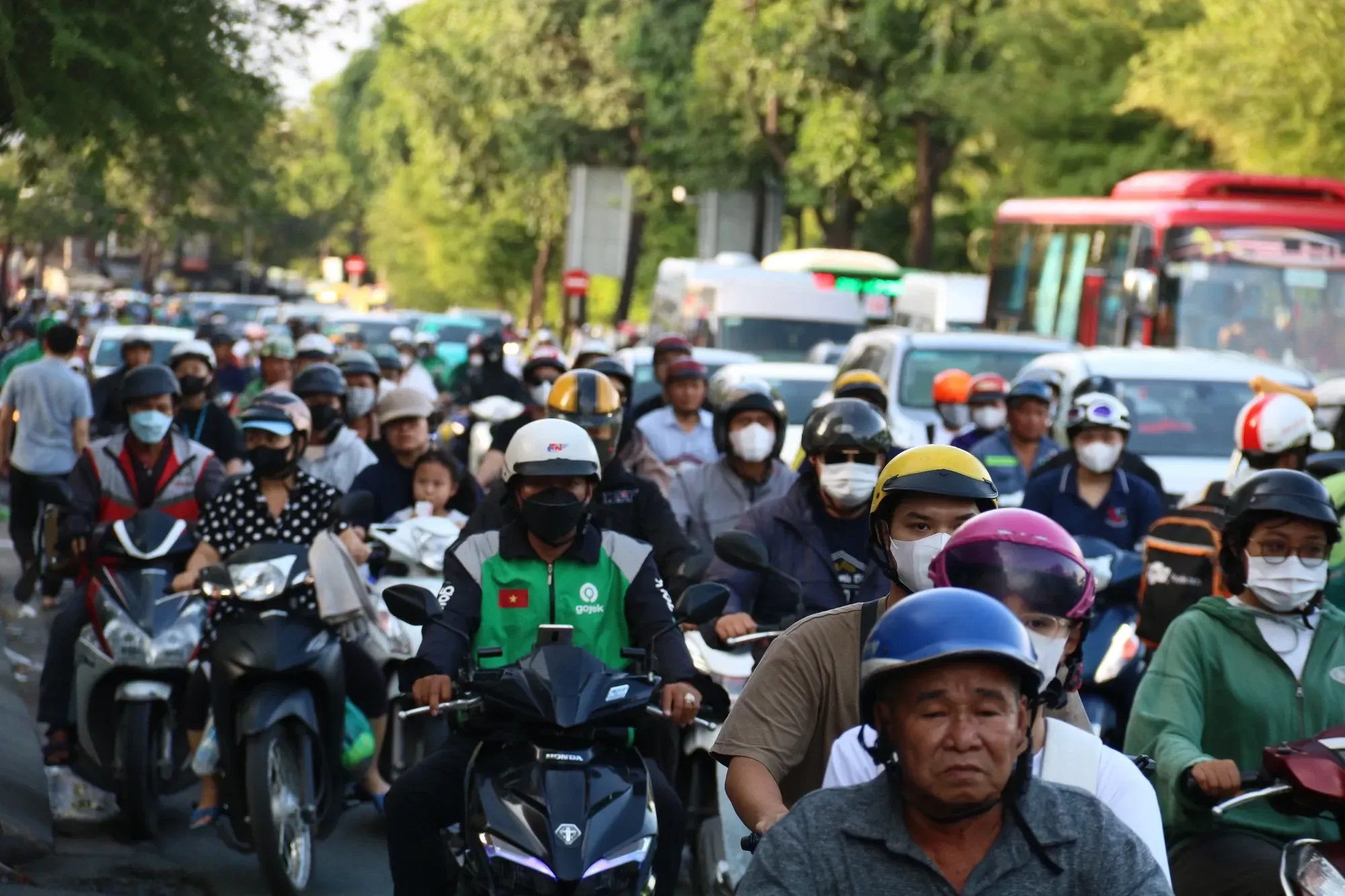 xanh5.webp